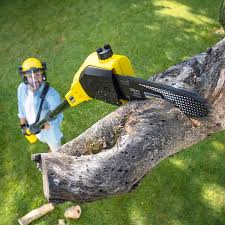 Best Seasonal Cleanup (Spring/Fall)  in Roscoe, IL